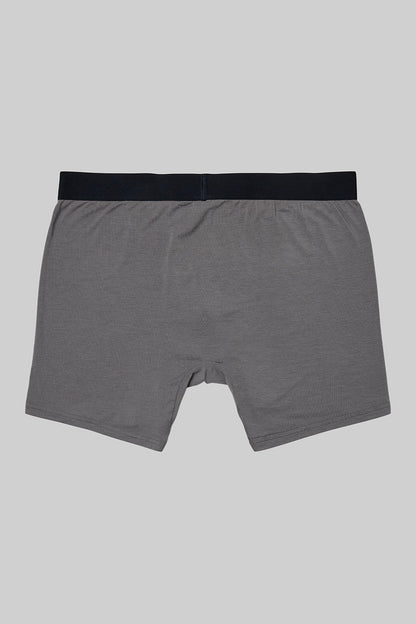 Day And Night Boxer Brief - Grey