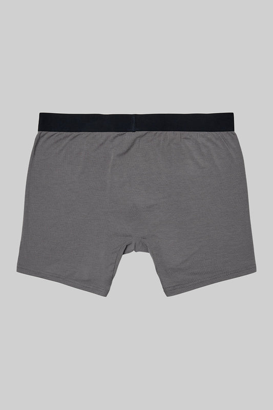 Day And Night Boxer Brief - Grey