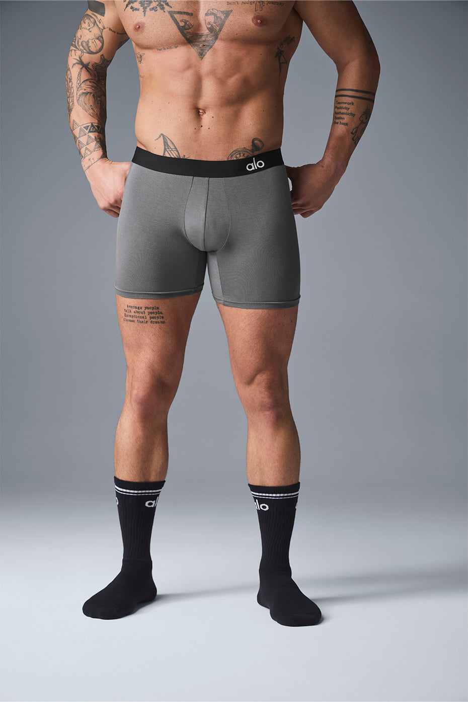 Day And Night Boxer Brief - Grey