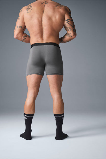 Day And Night Boxer Brief - Grey