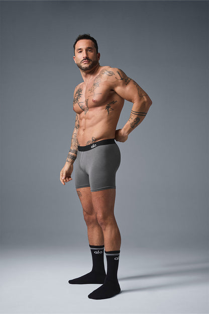 Day And Night Boxer Brief - Grey