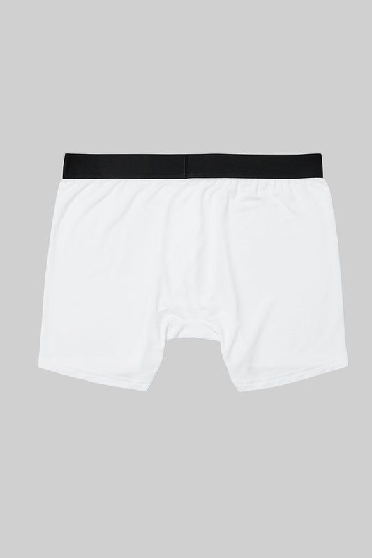 Day And Night Boxer Brief - White