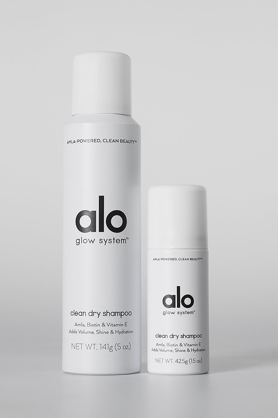 Mini Dry Shampoo