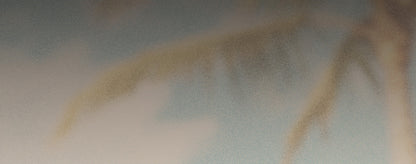 DON'T DELETE: Dummy Product for Navigation Images