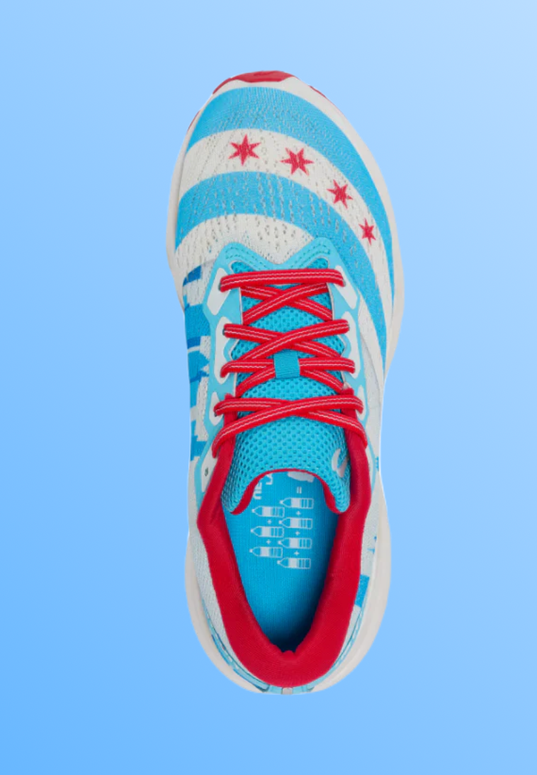 Newton Chicago Isaac Special Edition 2024