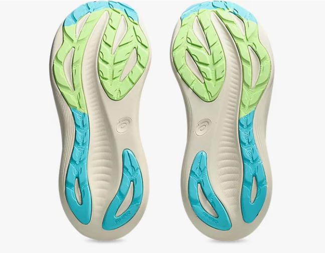 Women's Asics Gel Nimbus 27 TR Nature Bathing