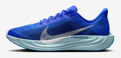 Men's Nike Pegasus Plus