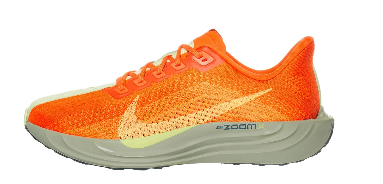 Men's Nike Pegasus Plus