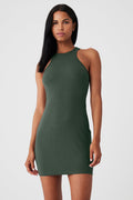 Airlift Ribbed Magnetic Dress - Dark Cactus